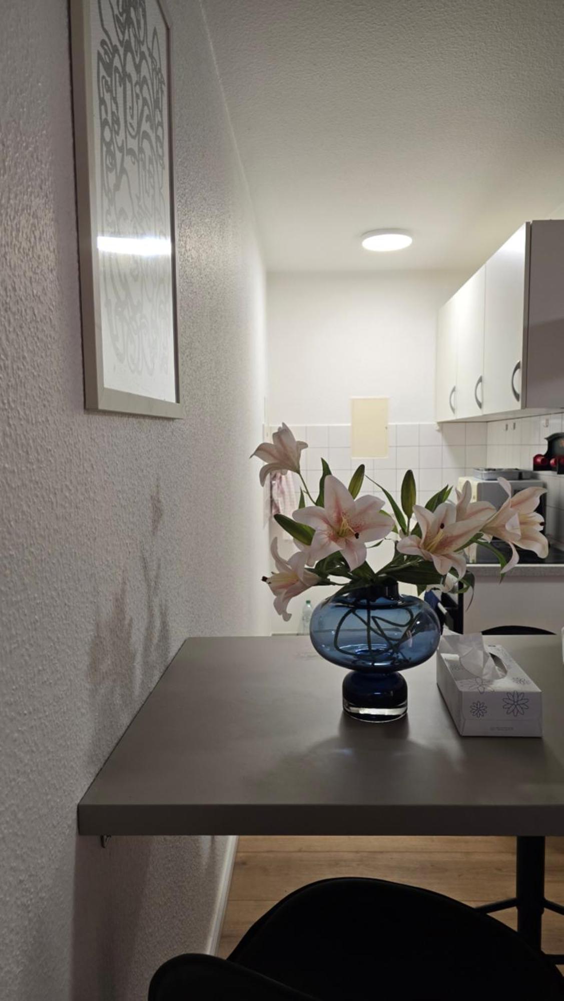 Guestified Beethoven Serviced Apartments Ratingen Eksteriør bilde